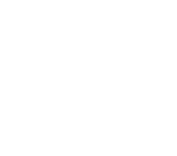 Toros